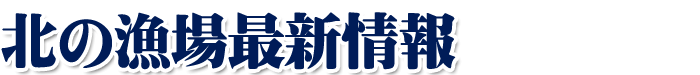 新着情報