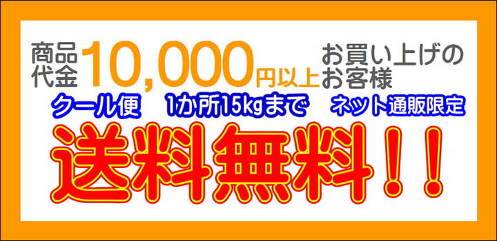 送料無料!!