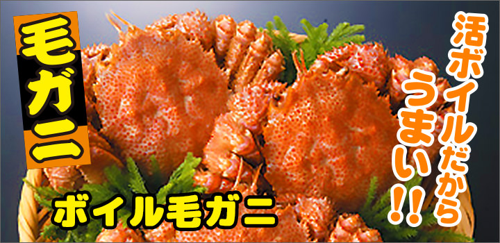毛ガニ